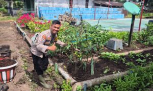 IMG-20260601-WA0002