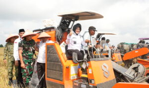 IMG-20260715-WA0018