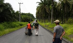 IMG-20260728-WA0000