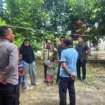 IMG-20260731-WA0017