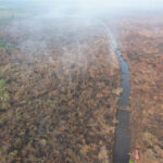 Lahan terbakar