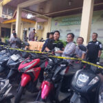 Motor curian