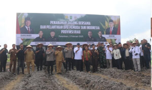 Pertanian
