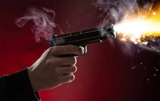 Pistol
