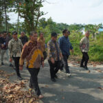 TINJAU