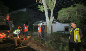 Tinjau