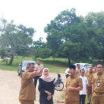 Tinjau