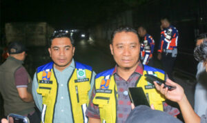 Wakil walikota