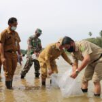 dkp-riau-tebar-benih-ikan-di-kuansi
