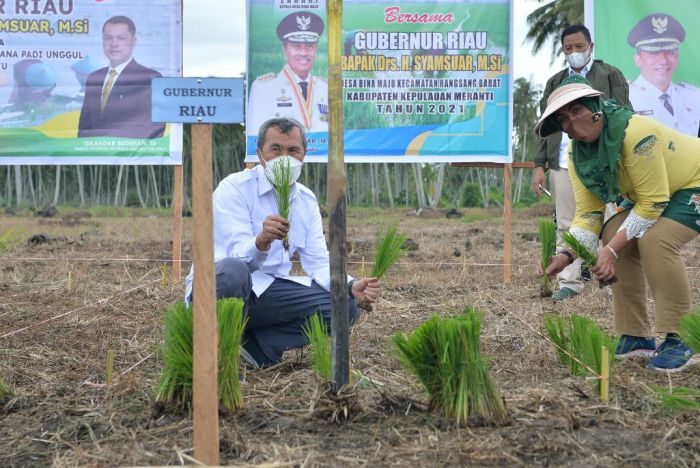 gubernur-riau-syamsuar-wujudkan-har