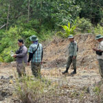 hUTAN