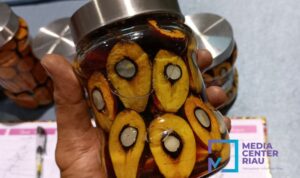 harga-sawit-riau-melejit-jelang-akh