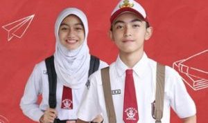 hari-ini-hasil-ppdb-sd-negeri-di-pe