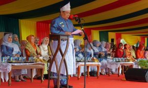 hut-ke-67-provinsi-riau-sf-hariyan