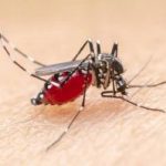 kasus-malaria-tembus-1660-pemprov