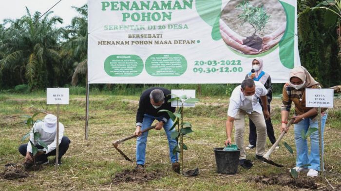 lakukan-penanaman-pohon-gubri-pem