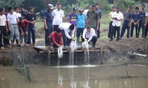 pemprov-riau-serahkan-3000-bibit-i