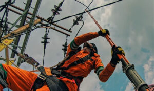 pln