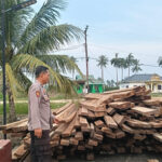 polisi sita kayu di Rohil