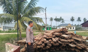 polisi sita kayu di Rohil
