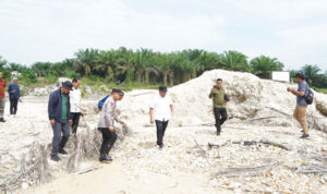 sIDAK TAMBANG EMAS