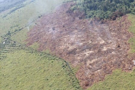 satgas-karhutla-riau-berhasil-padam