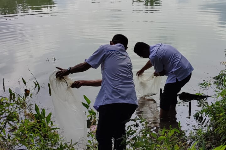 satu-juta-bibit-ikan-ditebar-di-ria