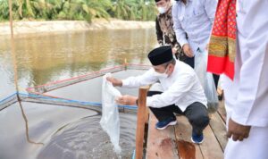 sempena-hut-riau-ke-64-gubri-semai