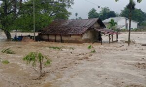 solidaritas-sumatera-pekanbaru-seg
