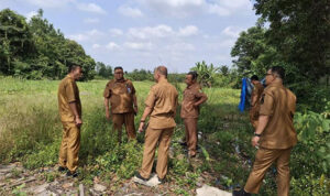tINJAU