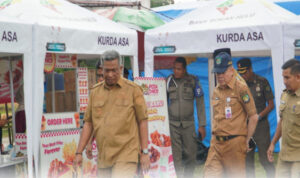 tinjau