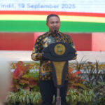 wahid d