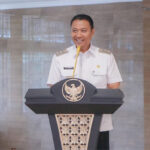 wakil walikota
