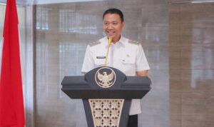 wakil walikota