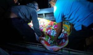 warga-meranti-tewas-diserang-buaya
